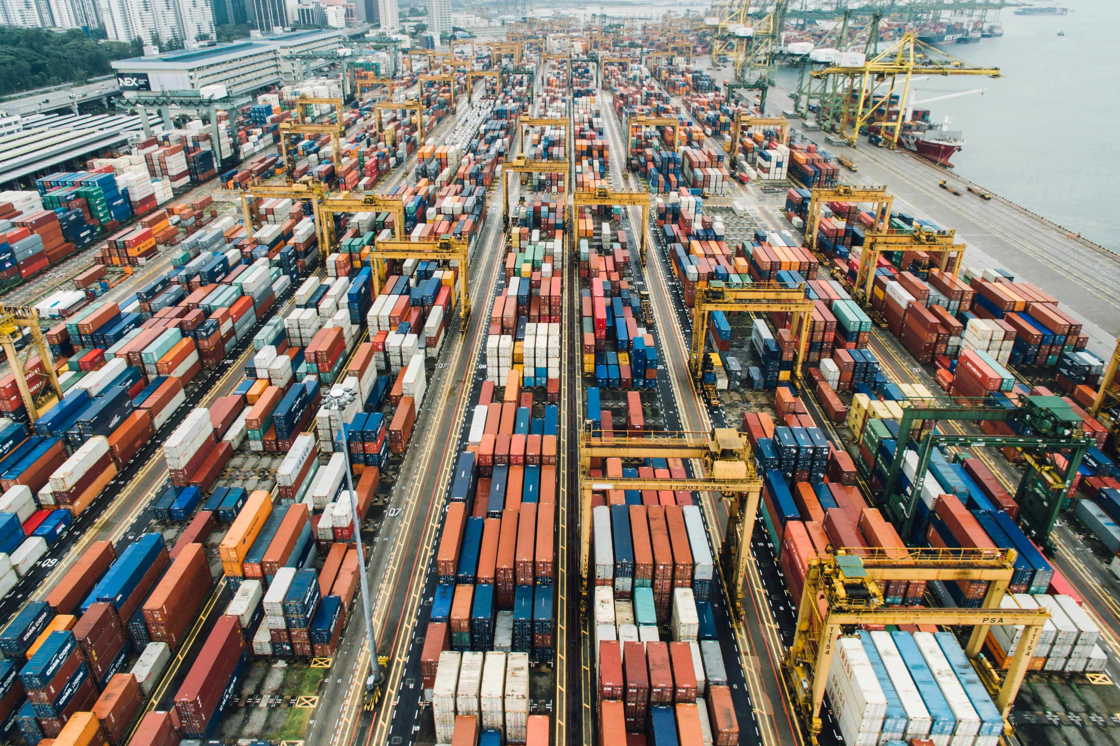 Sarak Group: Leader in Global Import and Export